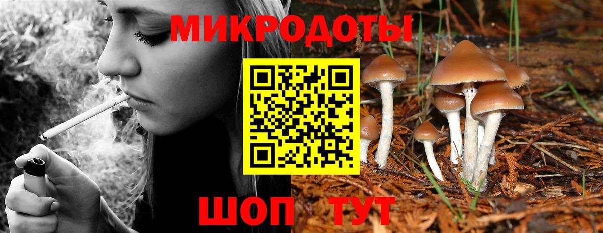 Сибай  где продают наркотики  Вход с VPN  Псилоцибиновые грибы GOLDEN TEACHER 